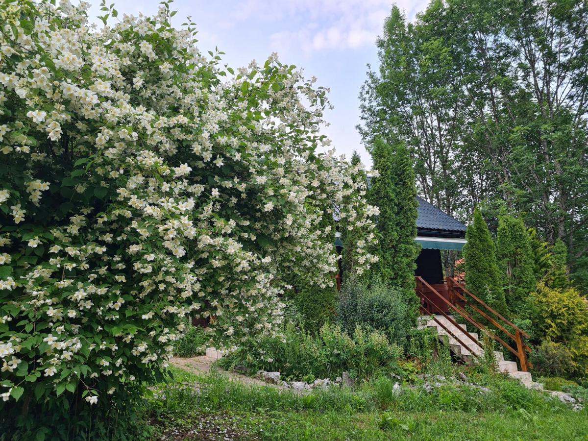 House Poljana Villa Plitvička Jezera Exterior foto